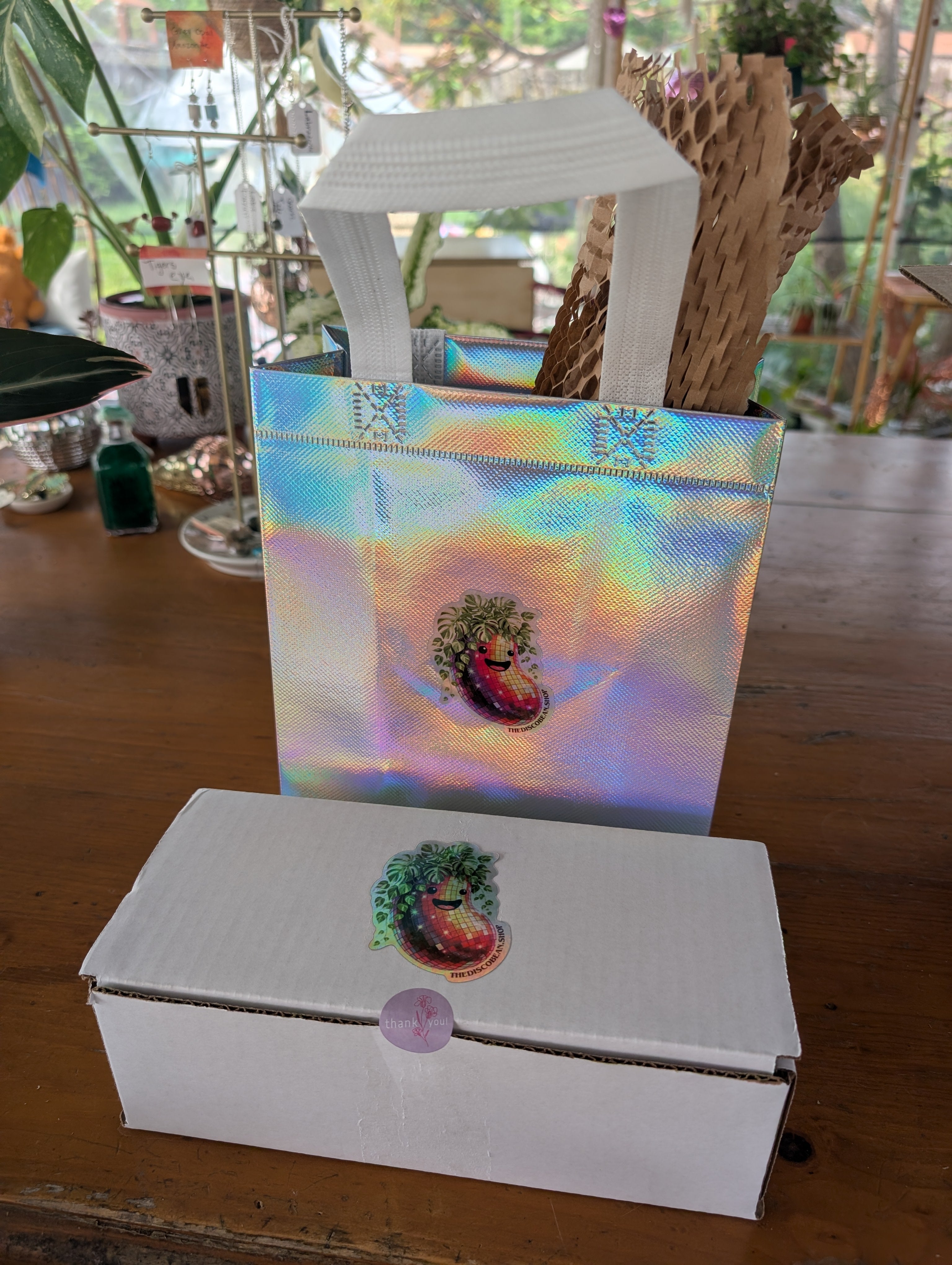 ♡Disco Bean Surprise Plant Pack♡ image 2