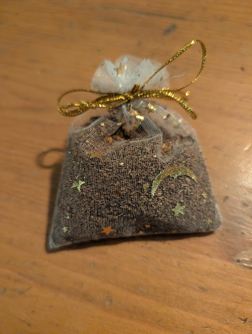 ♡Disco Bean Surprise Plant Pack♡ image 8