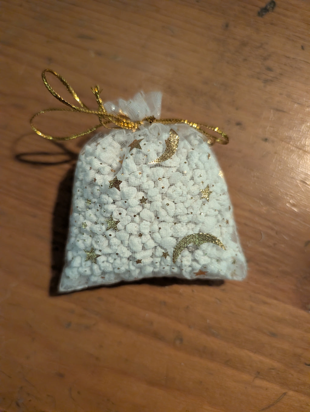 ♡Disco Bean Surprise Plant Pack♡ image 6