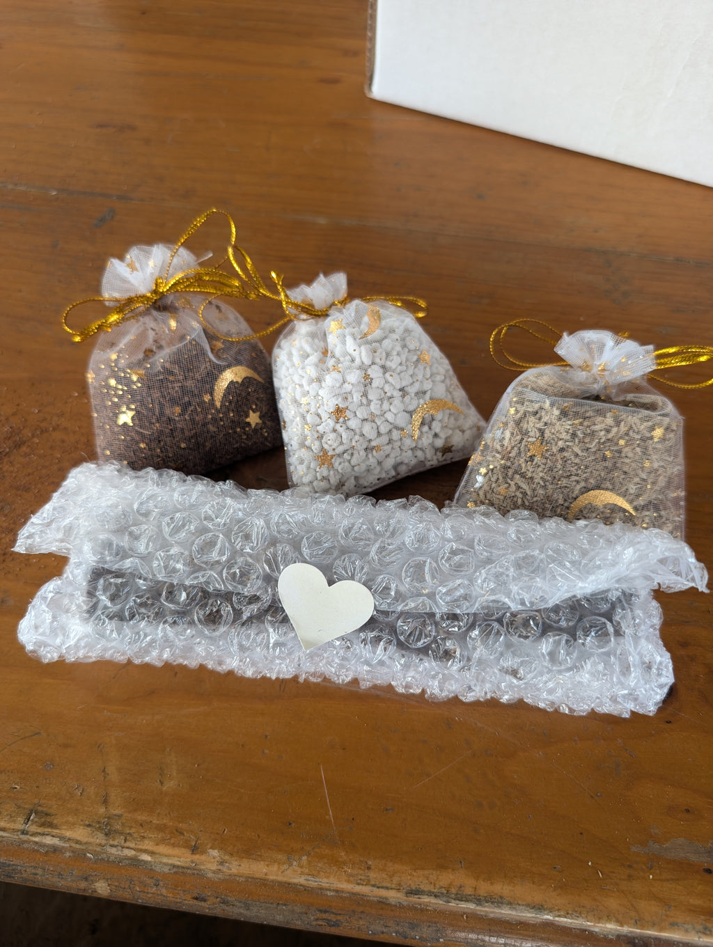 ♡Disco Bean Surprise Plant Pack♡ image 4