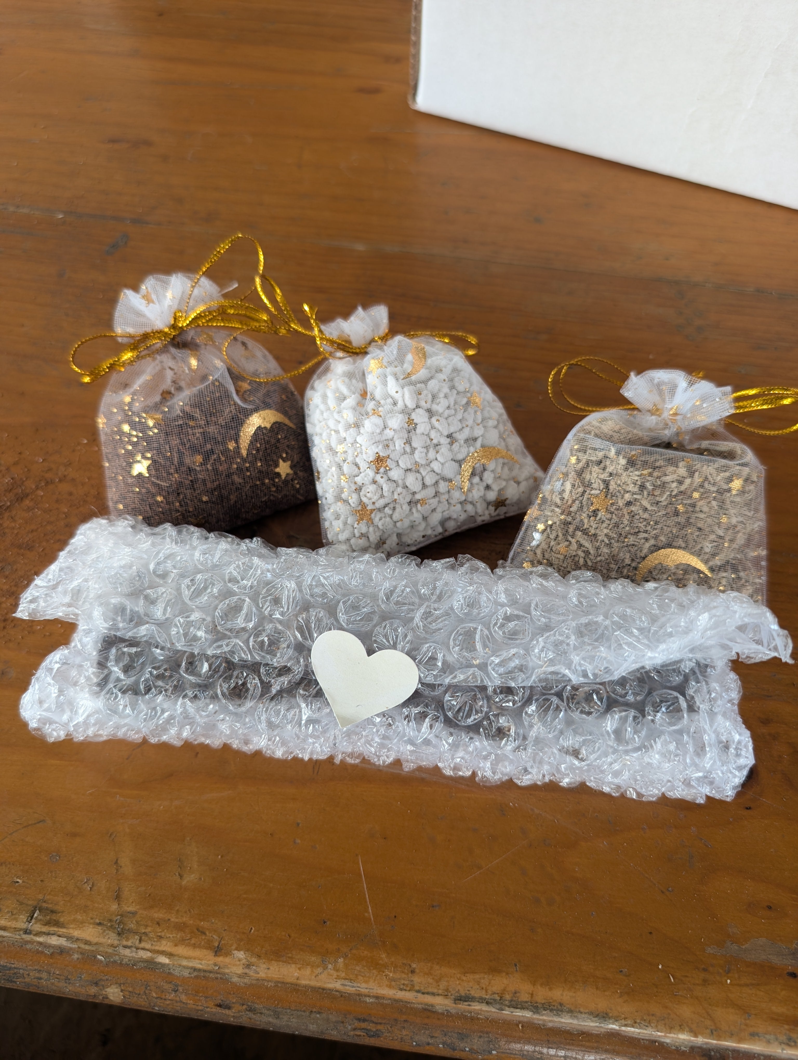 ♡Disco Bean Surprise Plant Pack♡ image 4