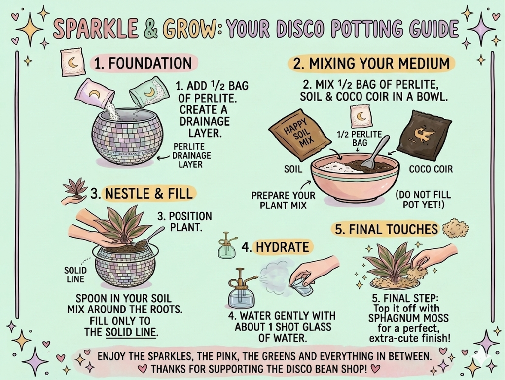 ♡Disco Bean Surprise Plant Pack♡ image 1