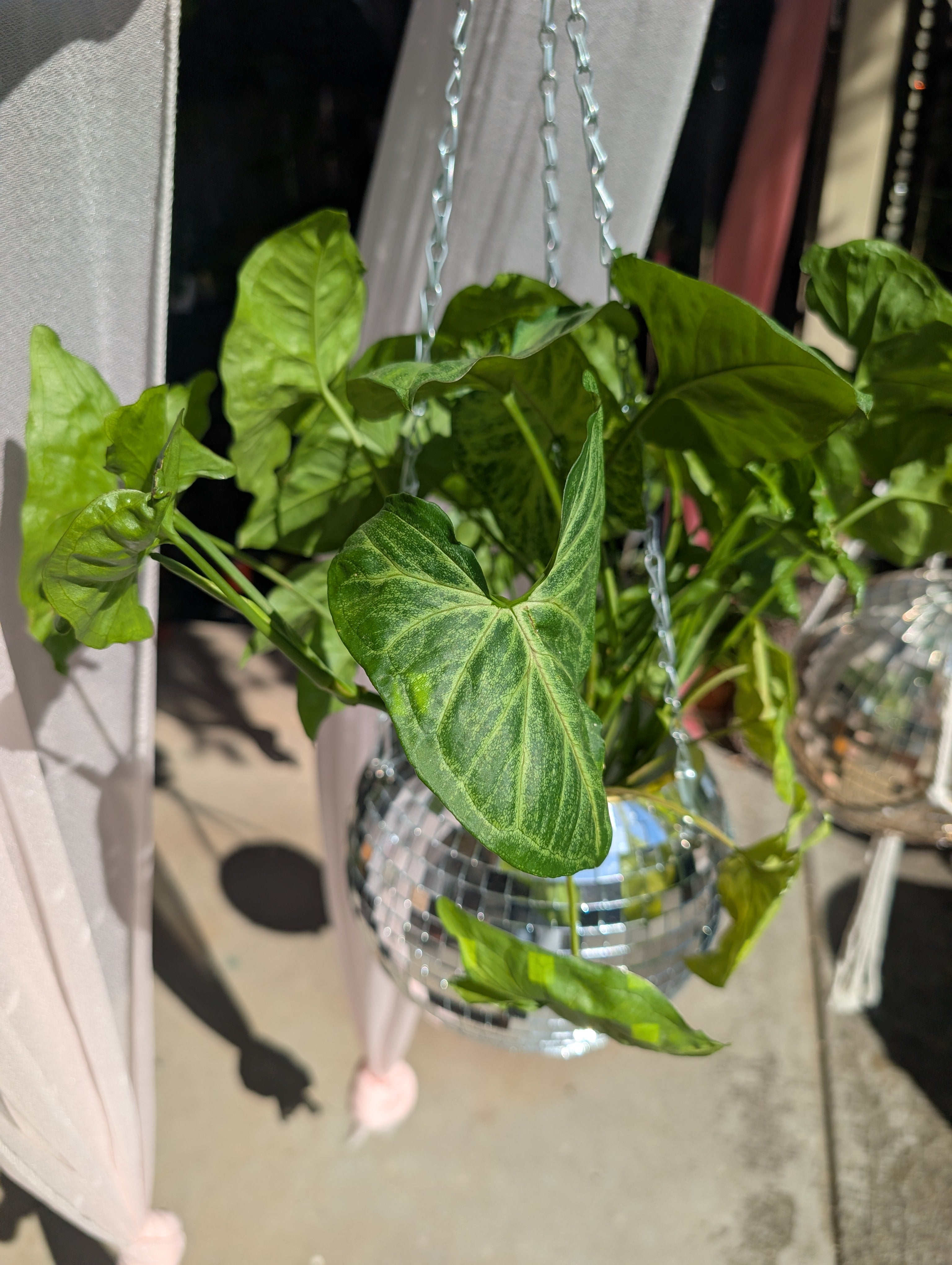 8" Disco mirrored silver hanging planter