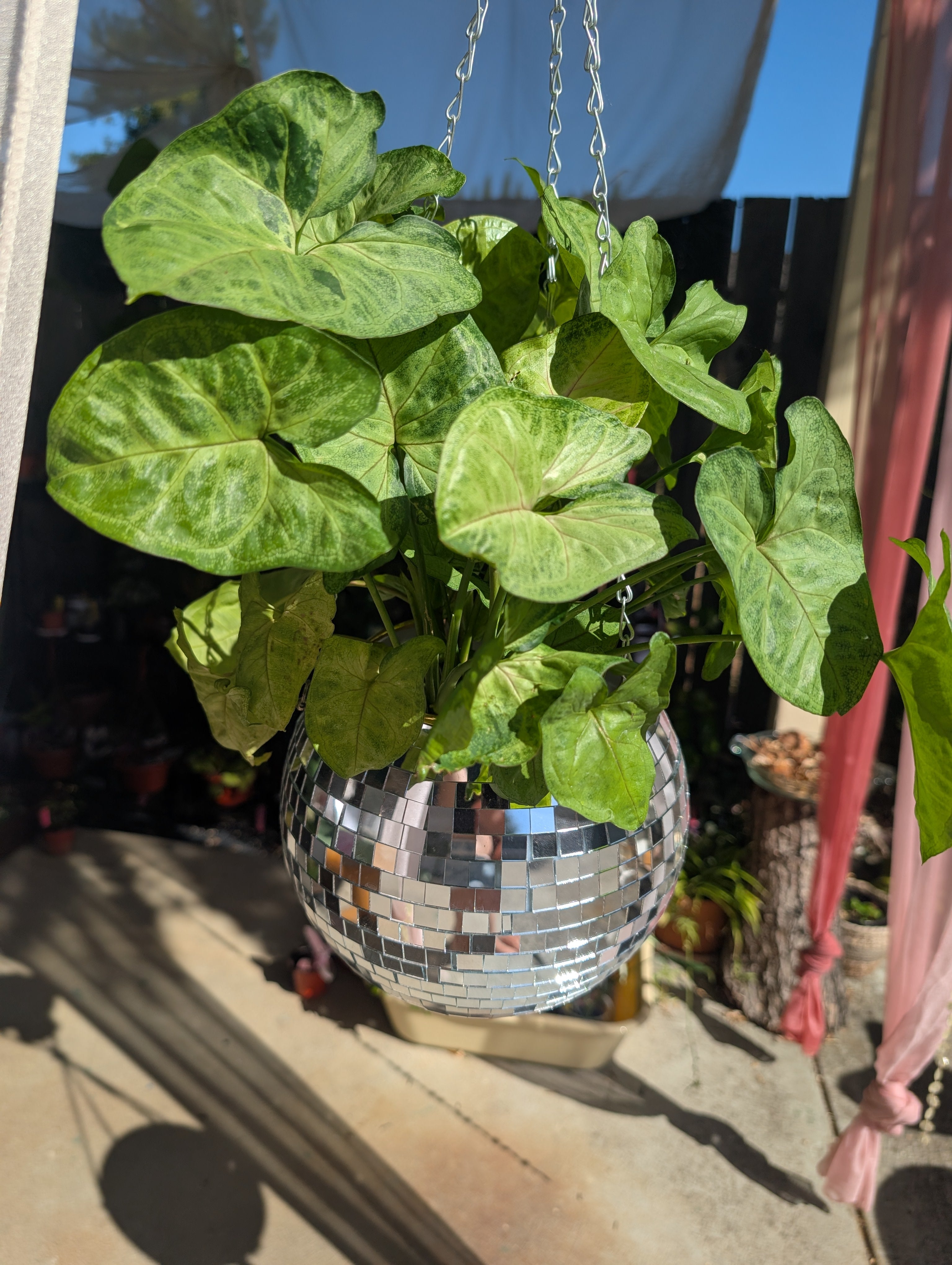 8" Disco mirrored silver hanging planter