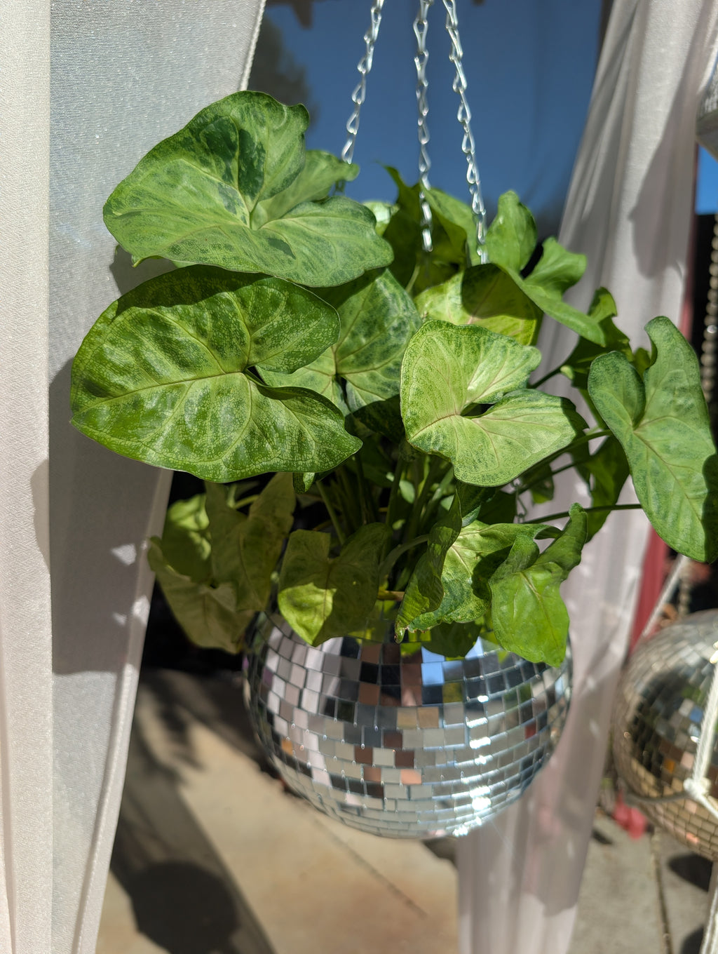 8" Disco mirrored silver hanging planter