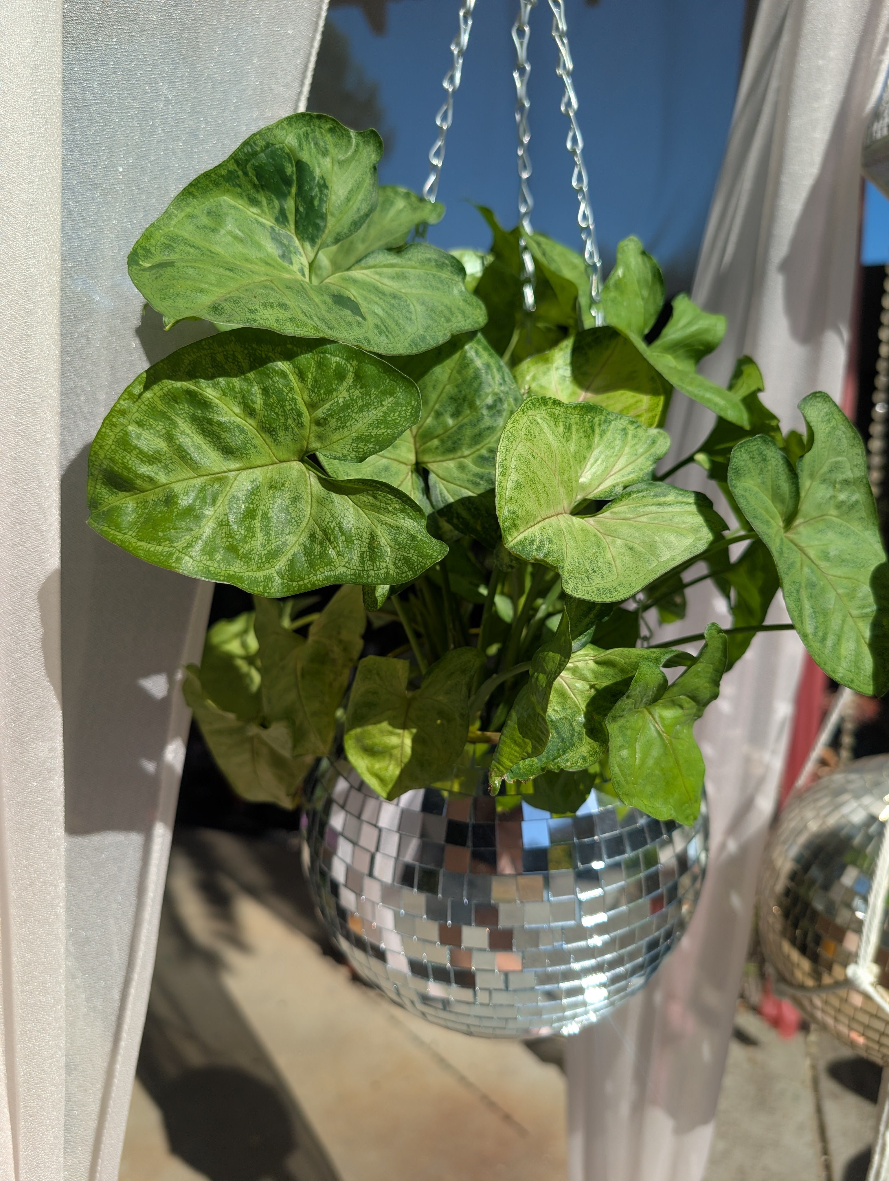 8" Disco mirrored silver hanging planter